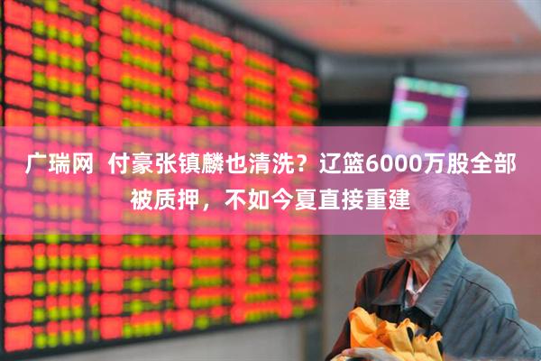 广瑞网  付豪张镇麟也清洗？辽篮6000万股全部被质押，不如今夏直接重建