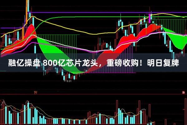 融亿操盘 800亿芯片龙头，重磅收购！明日复牌