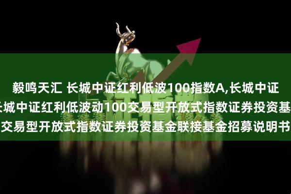 毅鸣天汇 长城中证红利低波100指数A,长城中证红利低波100指数C: 长城中证红利低波动100交易型开放式指数证券投资基金联接基金招募说明书