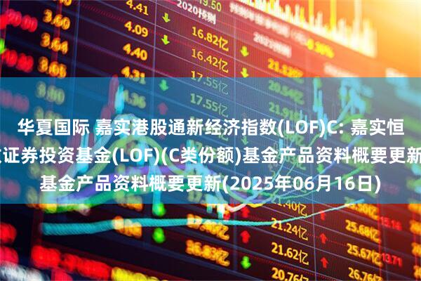 华夏国际 嘉实港股通新经济指数(LOF)C: 嘉实恒生港股通新经济指数证券投资基金(LOF)(C类份额)基金产品资料概要更新(2025年06月16日)