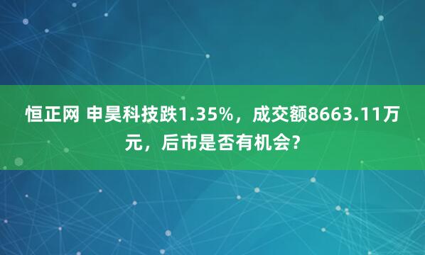 恒正网 申昊科技跌1.35%，成交额8663.11万元，后市是否有机会？
