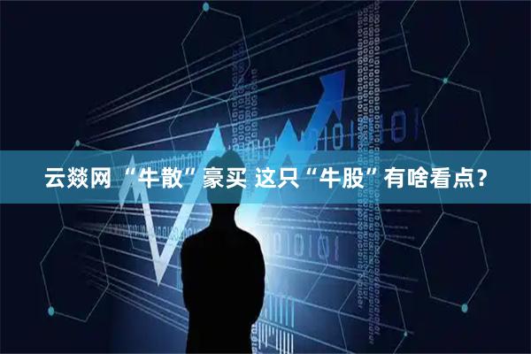 云燚网 “牛散”豪买 这只“牛股”有啥看点？