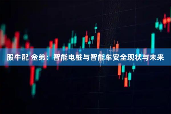 股牛配 金弟：智能电桩与智能车安全现状与未来